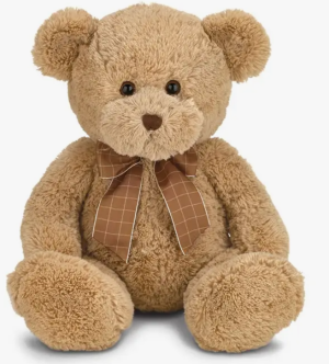 Image of Bensen the Teddy Bear